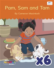 Pam, Sam and Tam x 6 (Set 1, Book 12) - 9780170343558