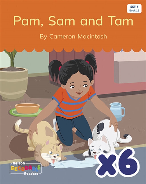 Picture of  Pam, Sam and Tam x 6 (Set 1, Book 12)