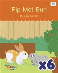 Pip Met Bun x 6 (Set 3, Book 8) - 9780170343916