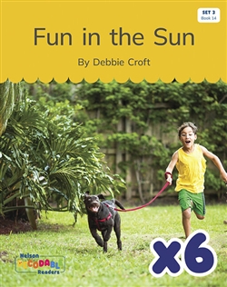 Fun in the Sun