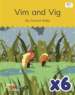 Vim and Vig
