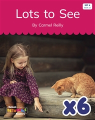 Lots to See x 6 (Set 4, Book 13) - 9780170344166