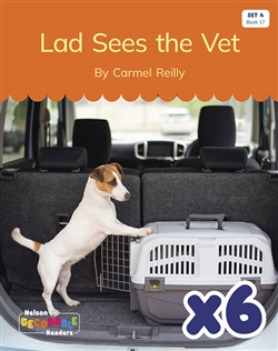 Lad Sees the Vet x 6 (Set 4, Book 17) - 9780170344203