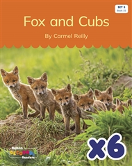 Fox and Cubs x 6 (Set 5 Book 15) - 9780170344388