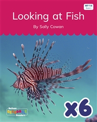 Looking at Fish x 6 (Set 7.2, Book 1) - 9780170344951