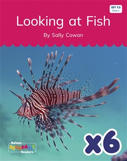 Looking at Fish