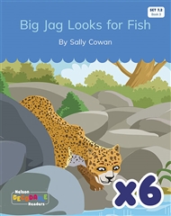 Big Jag Looks for Fish x 6 (Set 7.2, Book 3) - 9780170344975