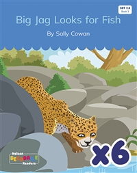 Big Jag Looks for Fish x 6 (Set 7.2, Book 3)