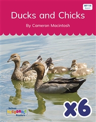 Ducks and Chicks x 6 (Set 7.2, Book 6) - 9780170345002