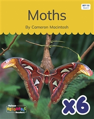 Moths x 6 (Set 7.2, Book 9) - 9780170345033