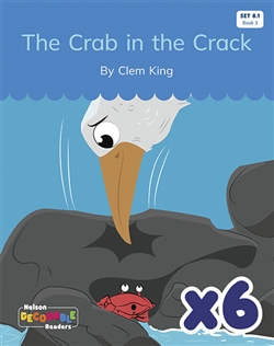 The Crab in the Crack