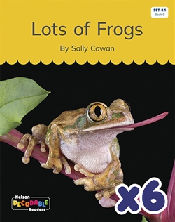 Lots of Frogs
