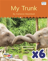 My Trunk x 6 (Set 8.2, Book 4) - 9780170345187