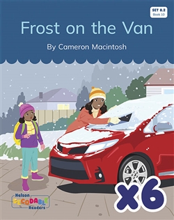 Frost on the Van