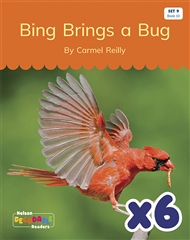 Bing Brings a Bug x 6 (Set 9, Book 10) - 9780170345347