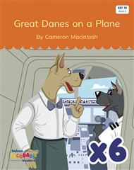 Great Danes on a Plane x 6 (Set 10, Book 2) - 9780170345361