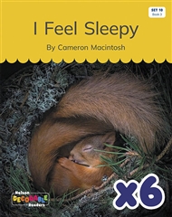 I Feel Sleepy x 6 (Set 10, Book 3) - 9780170345378