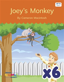 Joey's Monkey