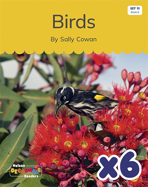 Picture of  Birds x 6 (Set 11, Book 6)