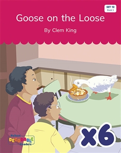 Goose on the Loose