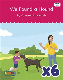 We Found a Hound x 6 (Set 13, Book 4) - 9780170345682