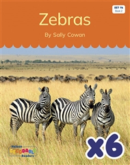 Zebras x 6 (Set 14, Book 2) - 9780170345743