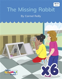 The Missing Rabbit