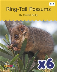 Ring-Tail Possums x 6 (Set 14, Book 10) - 9780170345828
