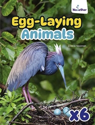 Egg-Laying Animals x 6 - 9780170346351