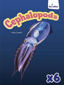 Cephalopods x 6 - 9780170346580