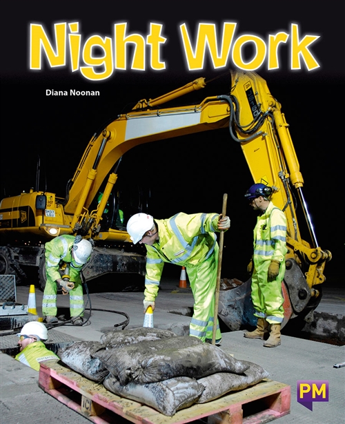 Picture of  Night Work