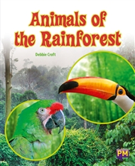 Animals of the Rainforest - 9780170354394