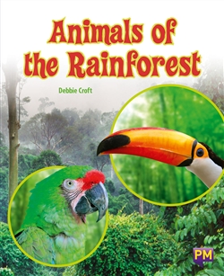 Animals of the Rainforest - 9780170354394