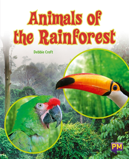 Picture of  Animals of the Rainforest