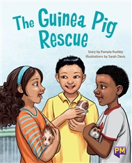 The Guinea Pig Rescue - 9780170358682