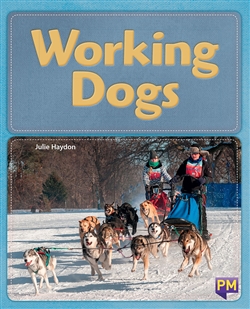 Working Dogs - 9780170358750