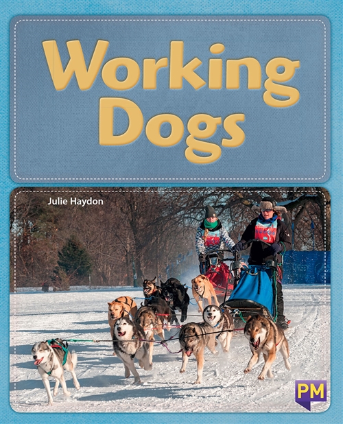 Picture of  Working Dogs