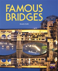 Famous Bridges - 9780170368902