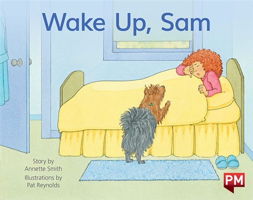 Picture of  Wake Up, Sam