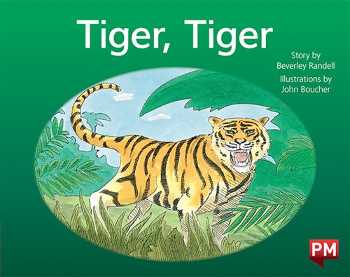Picture of  Tiger, Tiger