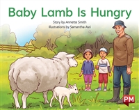 Baby Lamb is Hungry