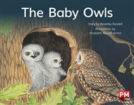 The Baby Owls - 9780170387224