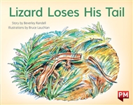 Lizard Loses His Tail - 9780170387248