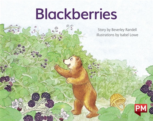 Picture of  Blackberries