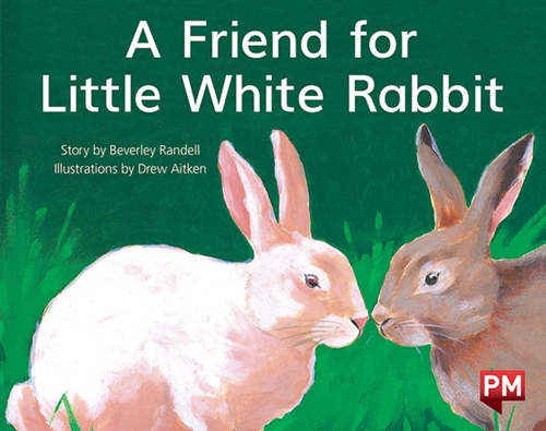 Picture of  A Friend for White Rabbit