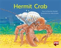 Hermit Crab