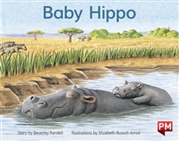 Baby Hippo