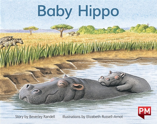 Picture of  Baby Hippo
