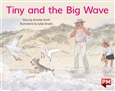 Tiny and the Big Wave