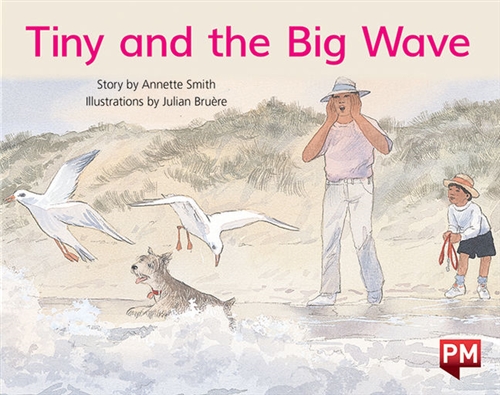 Picture of  Tiny and the Big Wave